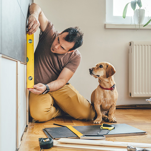 man with dog working on house